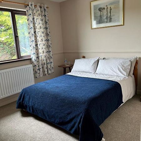Long View Guest Accommodation Downpatrick Buitenkant foto