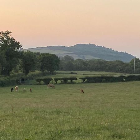 Long View Guest Accommodation Downpatrick Buitenkant foto