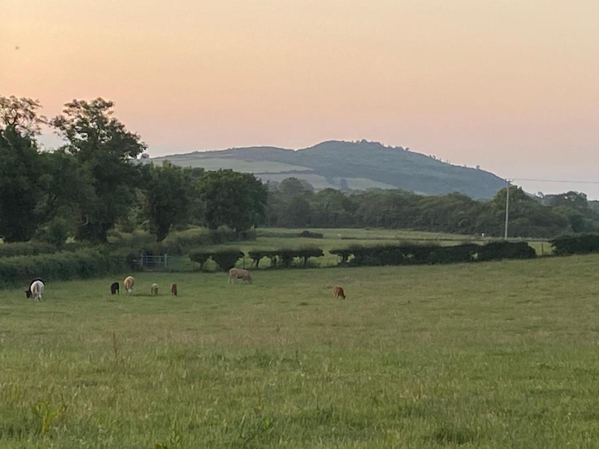 Long View Guest Accommodation Downpatrick Buitenkant foto