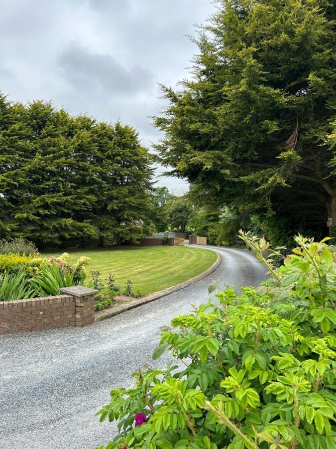 Long View Guest Accommodation Downpatrick Buitenkant foto